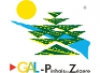 PINHAIS DO ZÊZERE - ASSOCIAÇÃO PARA O DESENVOLVIMENTO